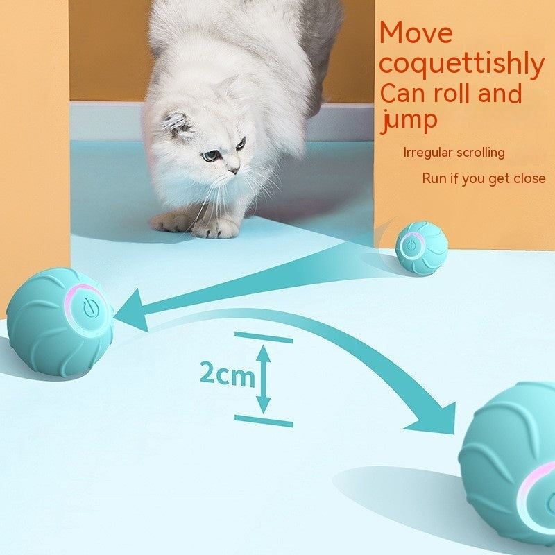 Magic Rolling Cat Toy