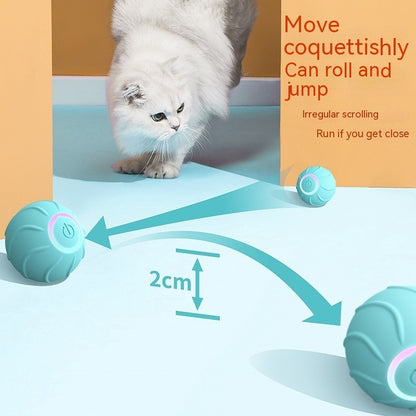 Magic Rolling Cat Toy