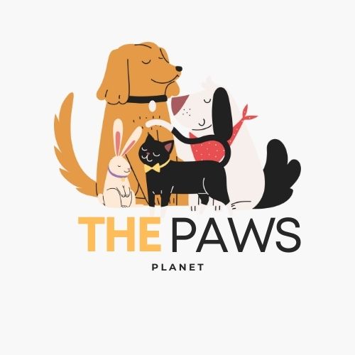 The Paws Planet