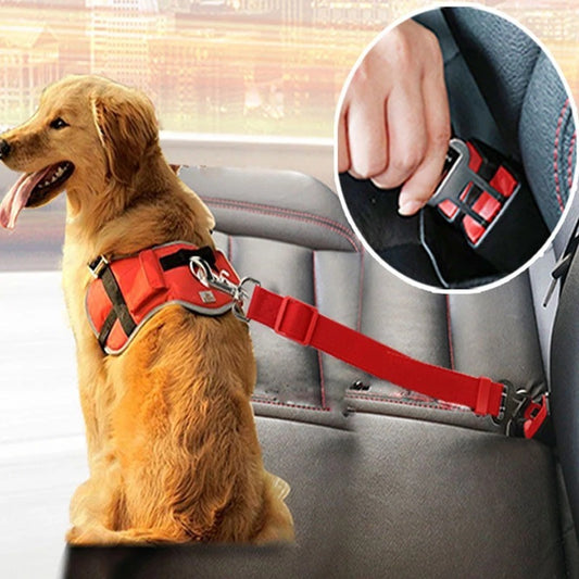 Cool Pet Car Harness