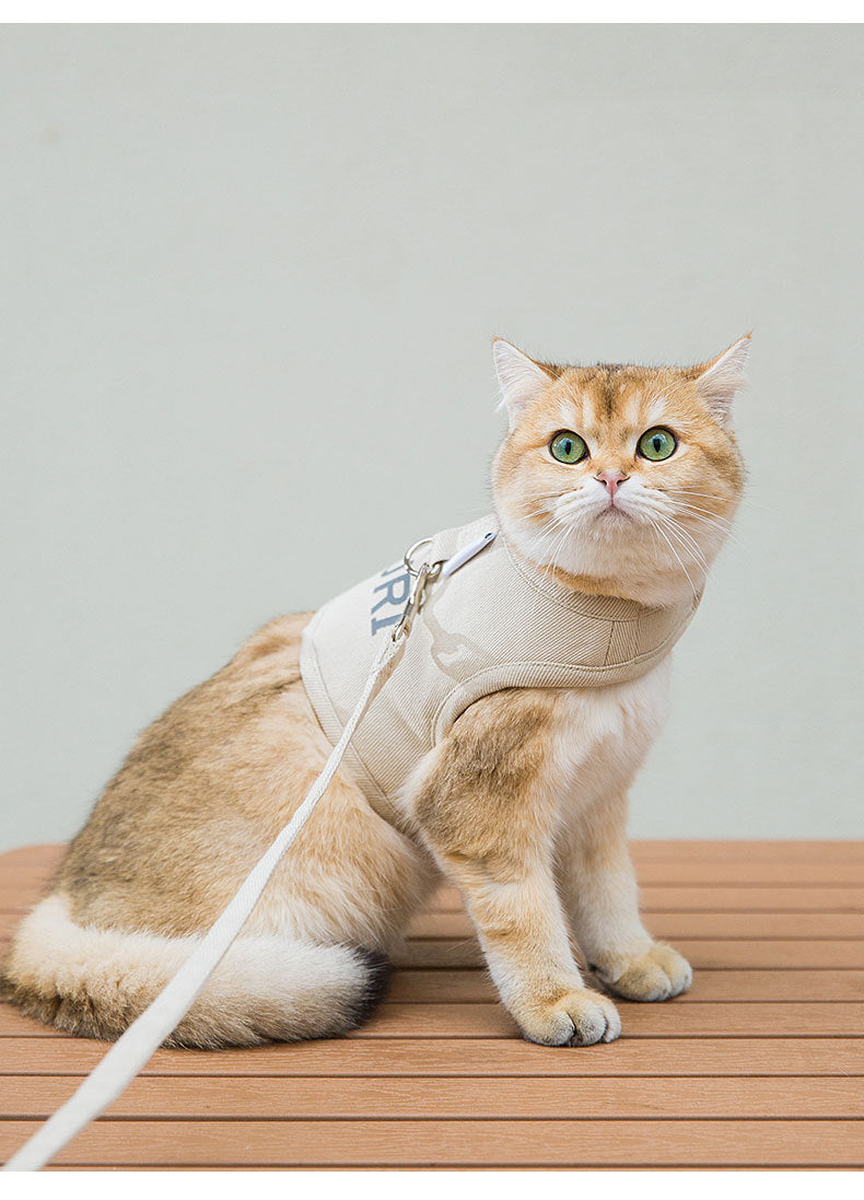 Stylish Harness and Leash Set