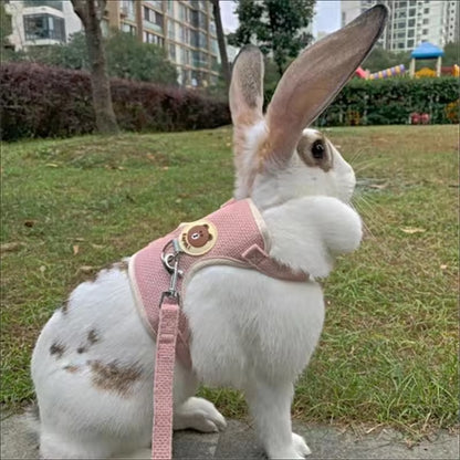 Soft Bunny Harness and Leash Set