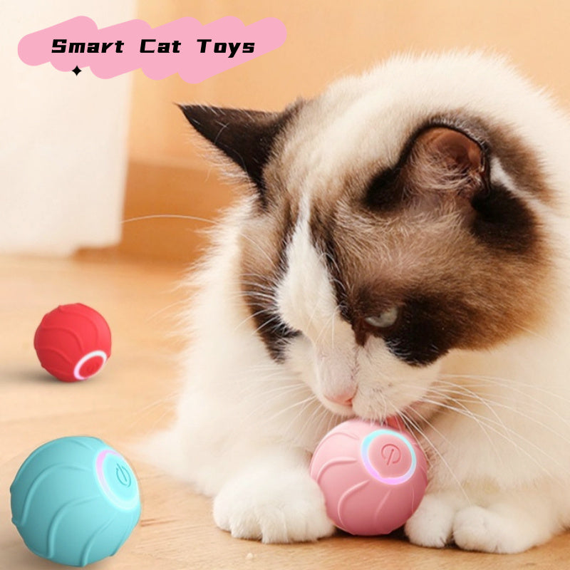 Magic Rolling Cat Toy