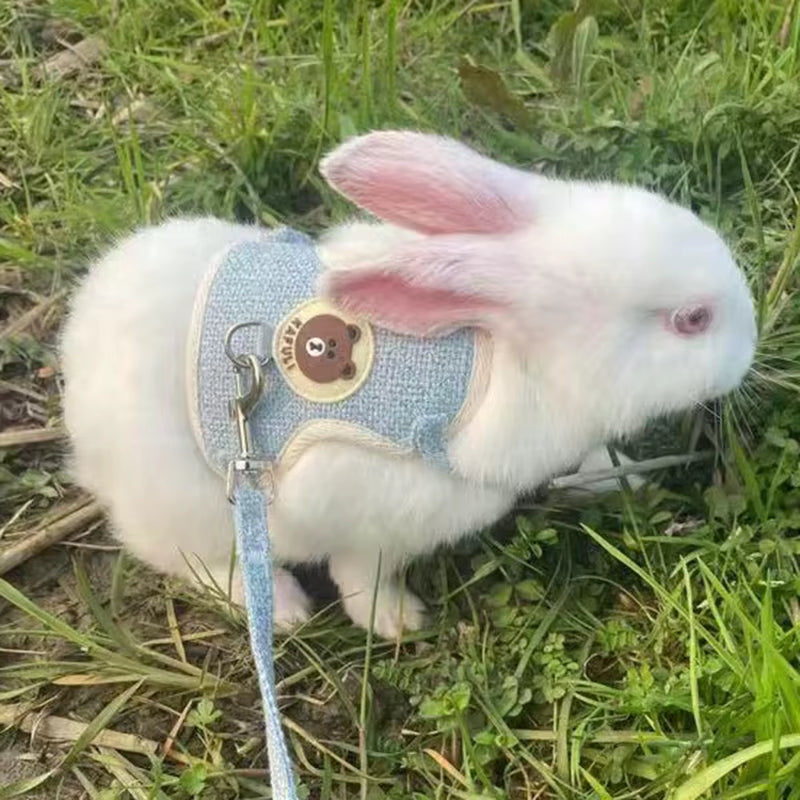 Soft Bunny Harness and Leash Set