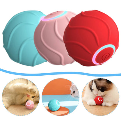 Magic Rolling Cat Toy