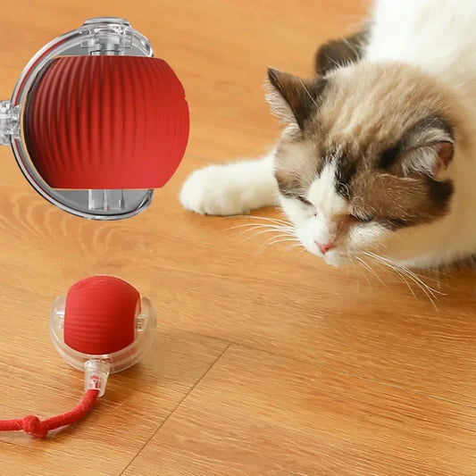 Rolling Plush Cat Toy