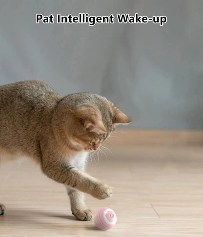 Interactive Automatic Rolling Ball for Cat 