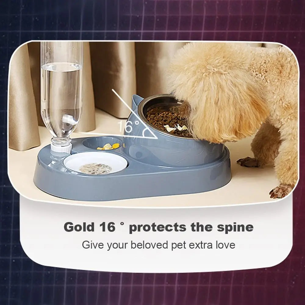 Pet Food Bowl and Water Dispenser