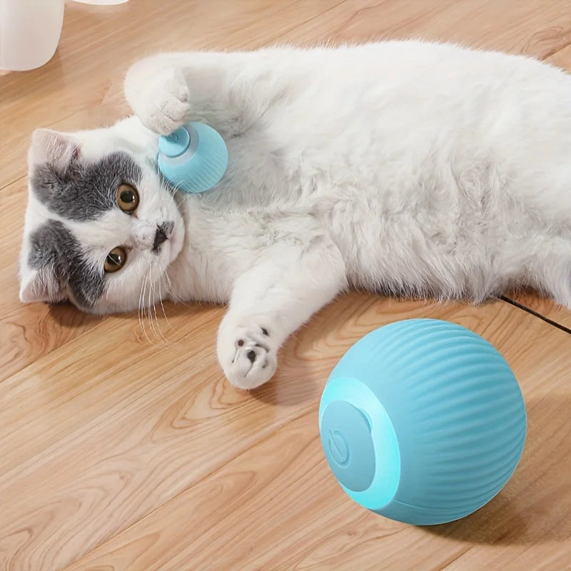 Interactive Automatic Rolling Ball for Cat 