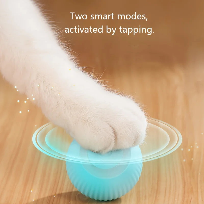 Interactive Automatic Rolling Ball for Cat 