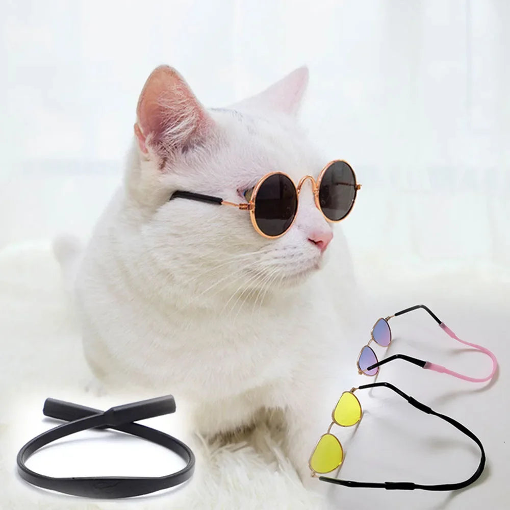 Cat Classic Round Metal Sunglasses