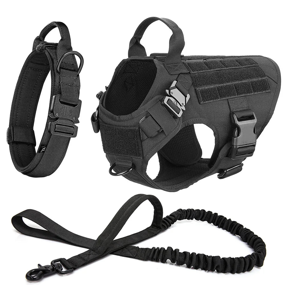 Large Dog Harness & Leash Set