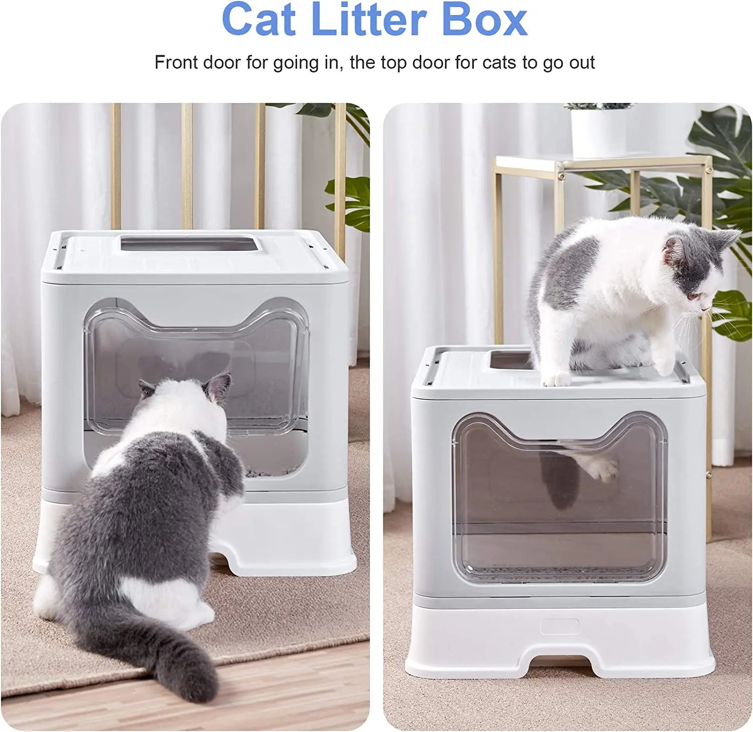 Foldable Cat Litter Box with Top Entry & Scoop