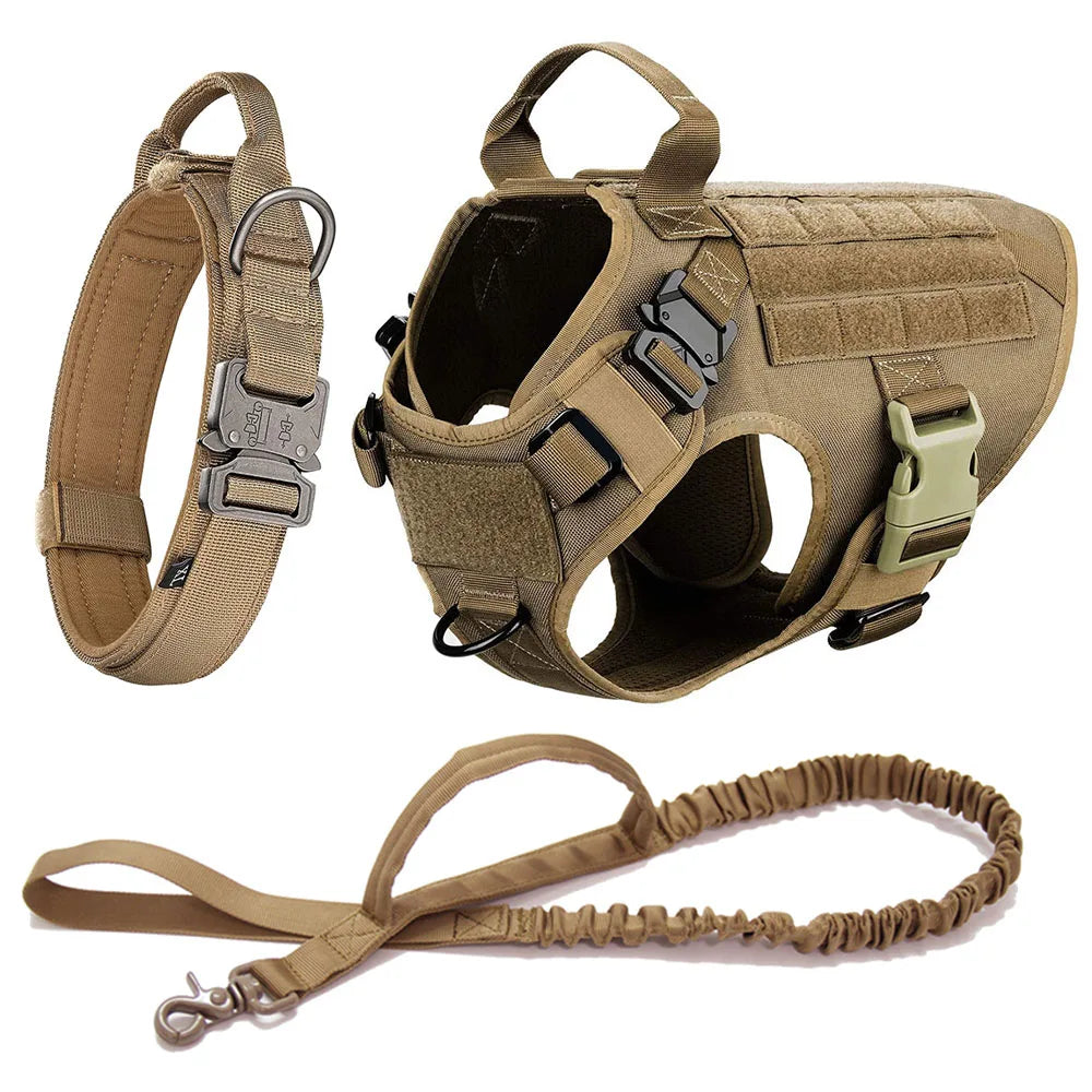 Large Dog Harness & Leash Set