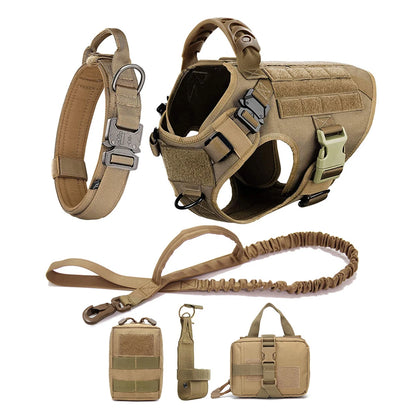 Large Dog Harness & Leash Set