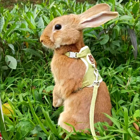 Soft Bunny Harness and Leash Set