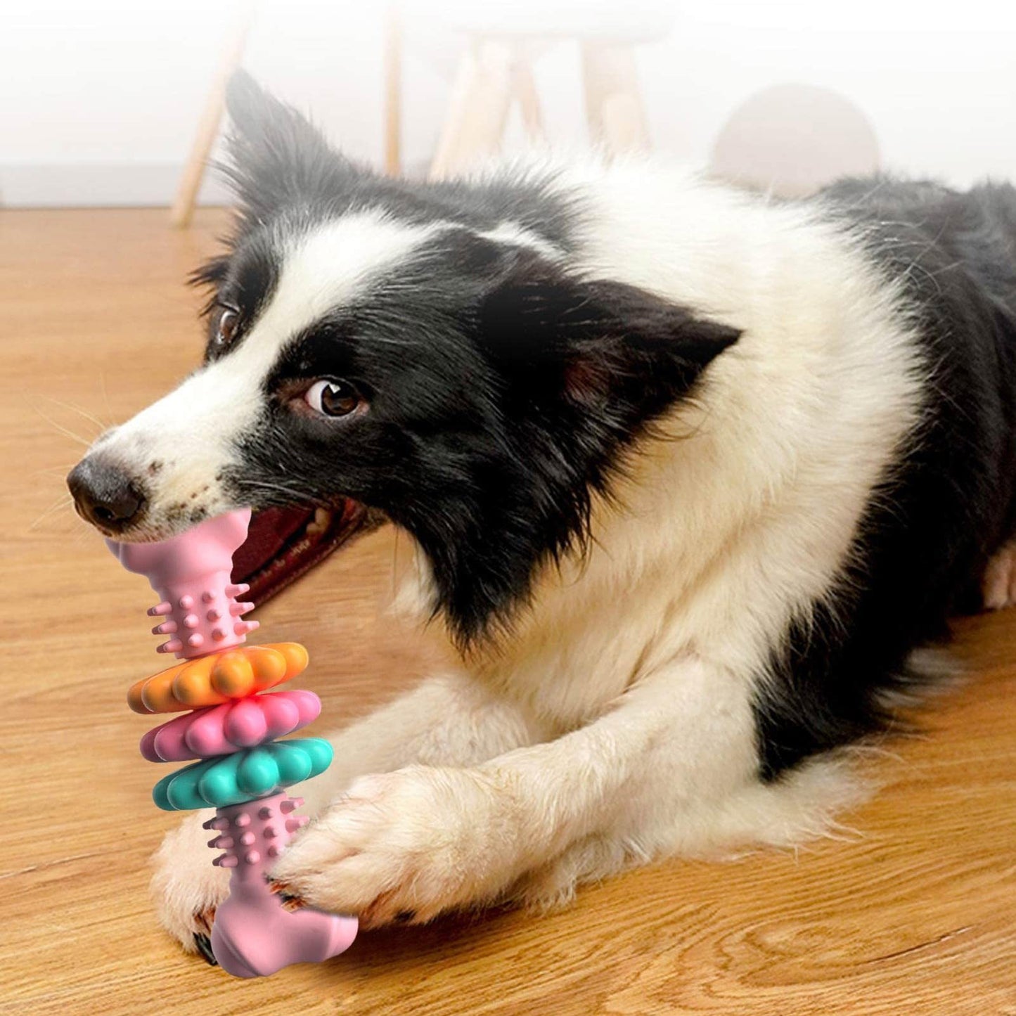 Indestructible Chew Toy for Dogs - Bone Design