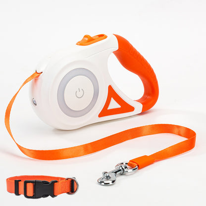 PawMotion Leash & Collar Set